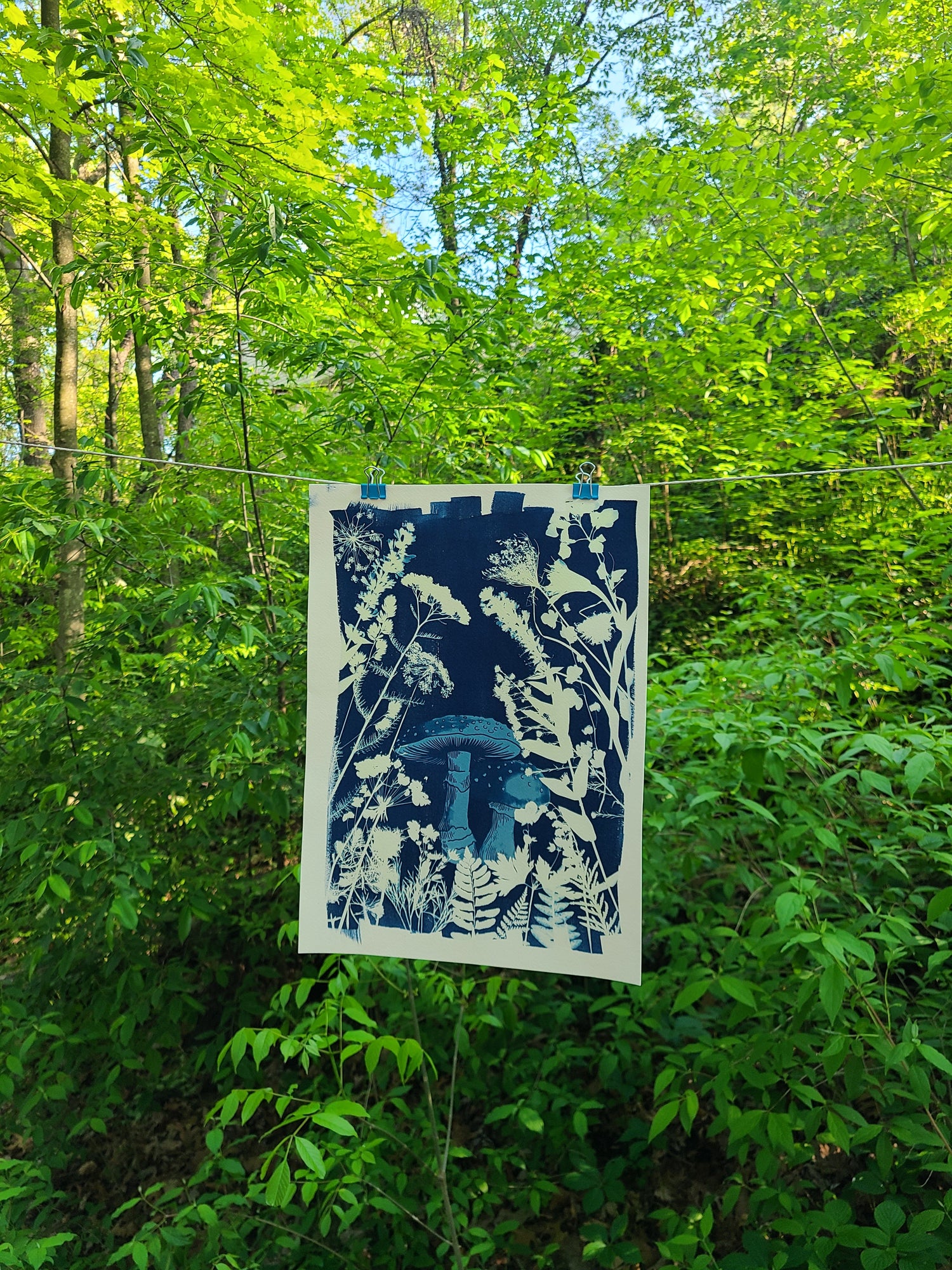 Cyanotype Art Prints