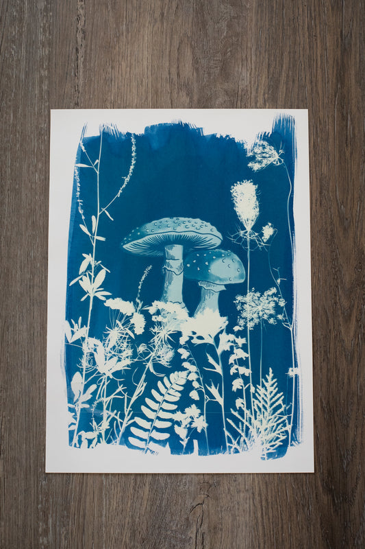 10" x 14" Mushroom & Flora Cyanotype Print