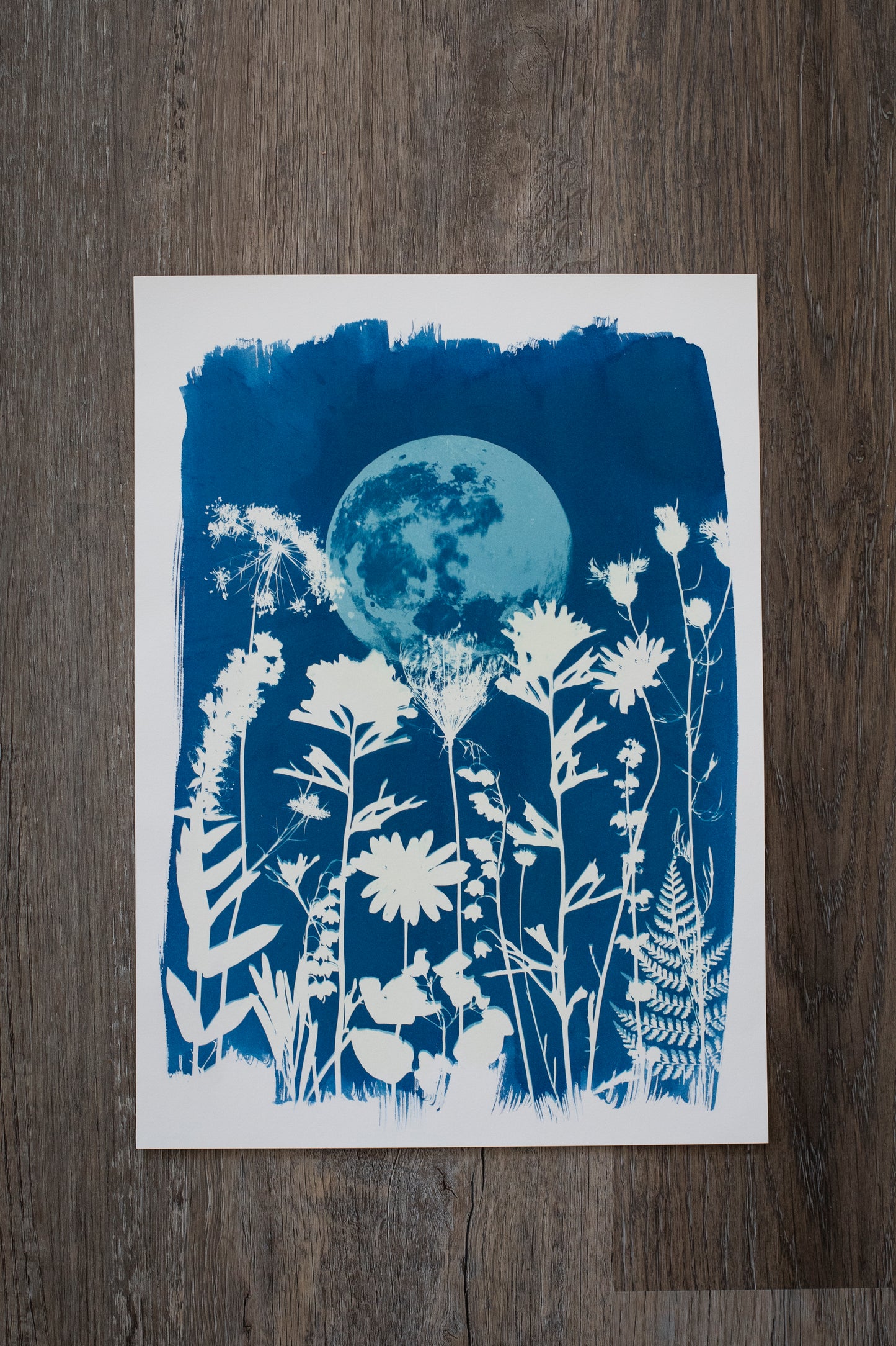 10" x 14" Moon & Wildflower Cyanotype Print