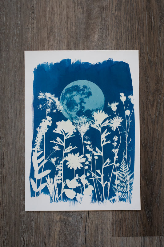 10" x 14" Moon & Wildflower Cyanotype Print
