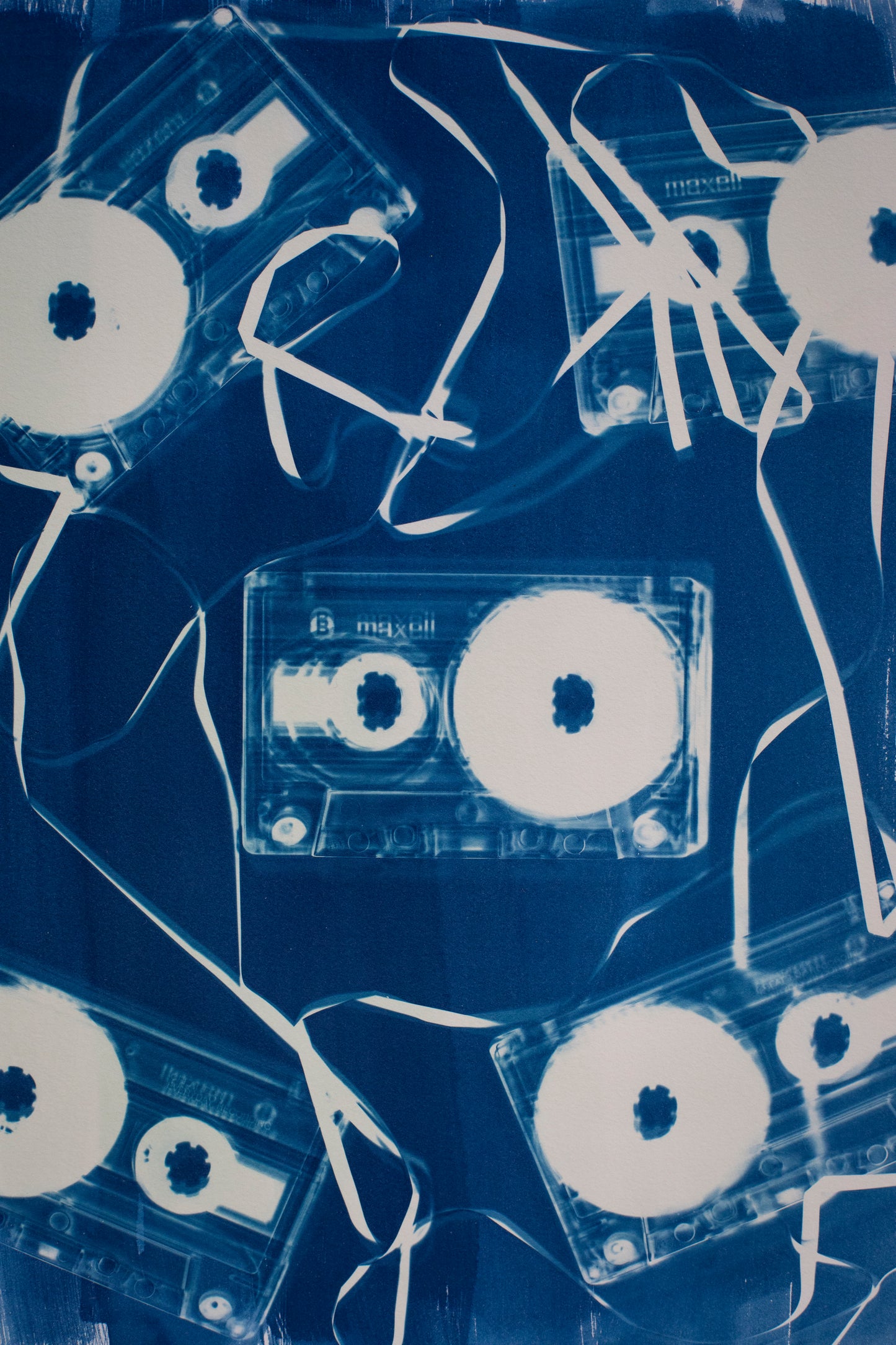 10" x 14"  Cassette Cyanotype Print