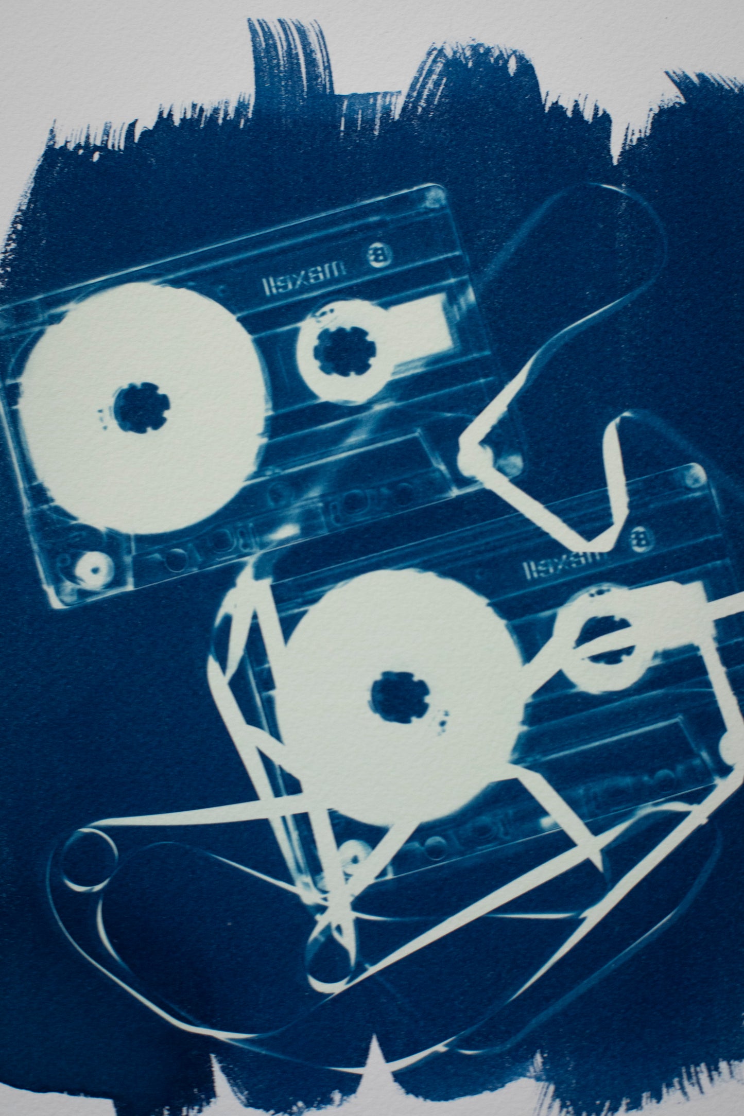 8" x 10" Cassette Cyanotype Print