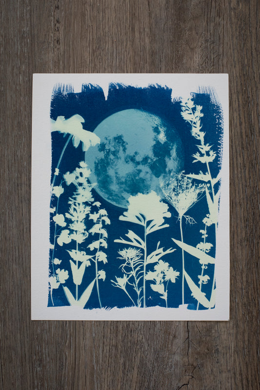 8" x 10" Moon and Wildflower Cyanotype Print
