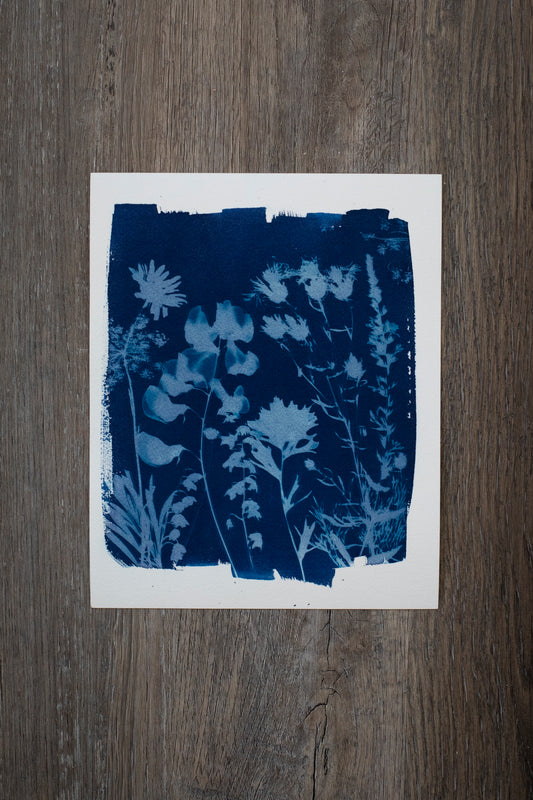 8" x 10" Wildflowers Cyanotype Print