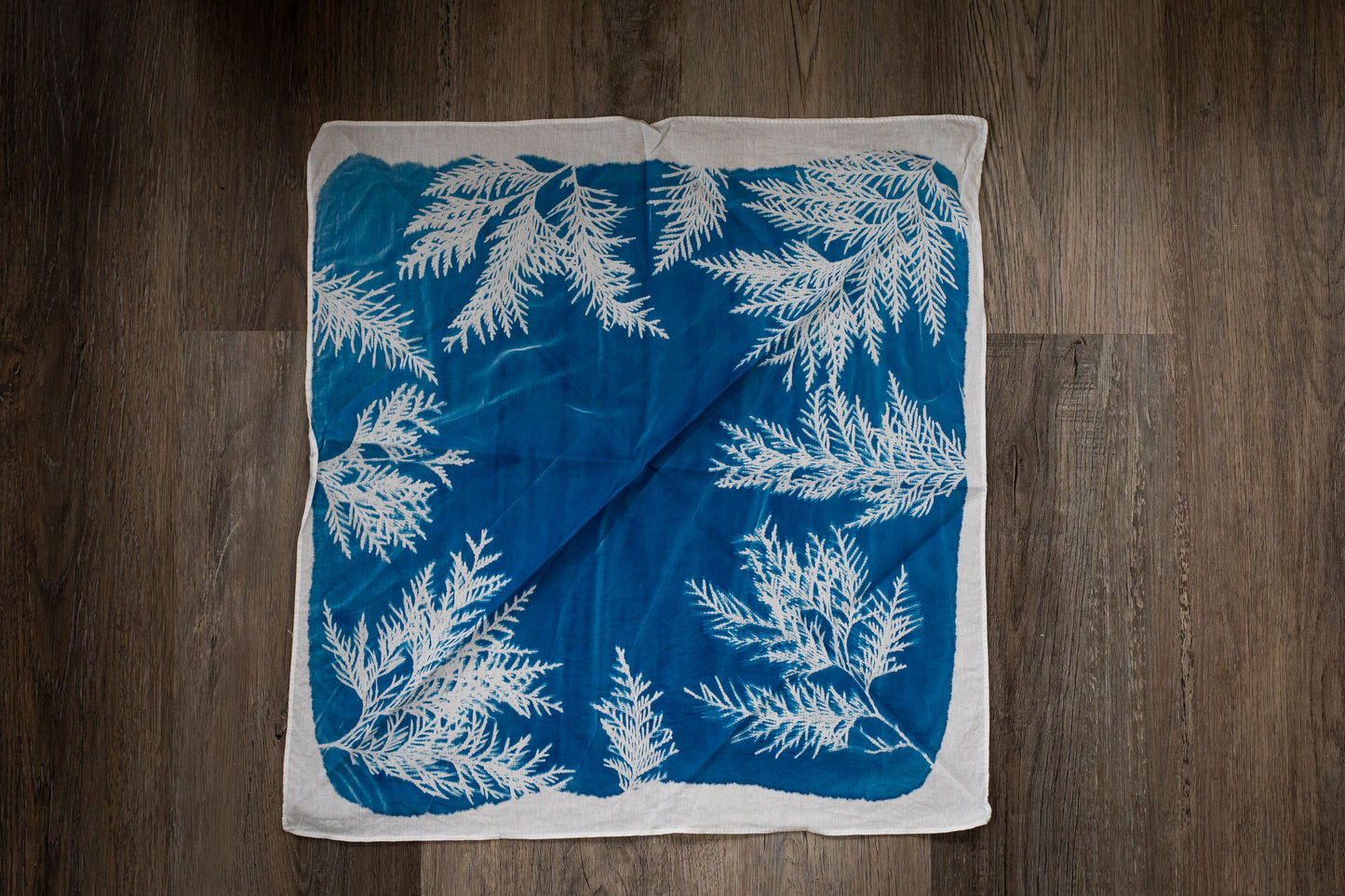 Cedar Cyanotype Banada #2