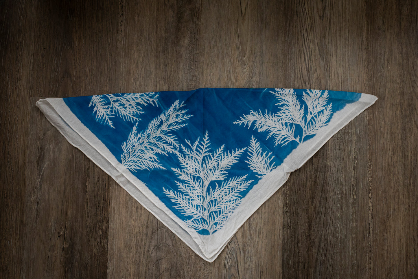 Cedar Cyanotype Banada #2