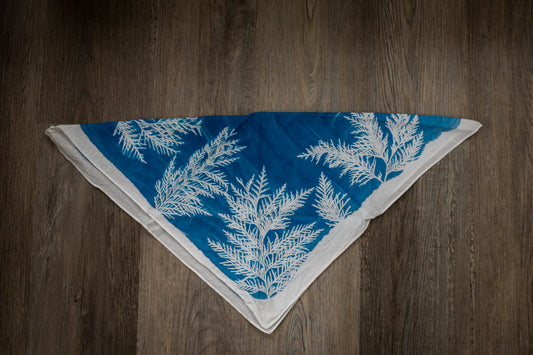 Cedar Cyanotype Banada #2