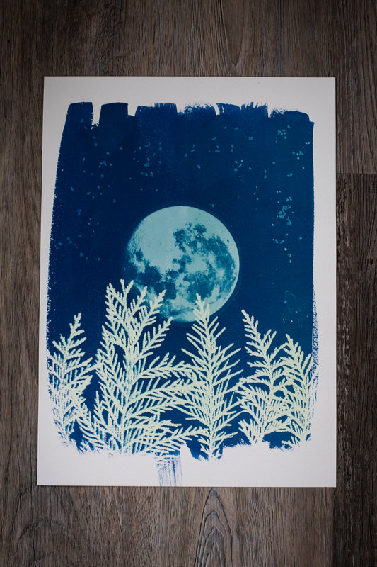 10”x 14” Moon & Cedar Cyanotype Print