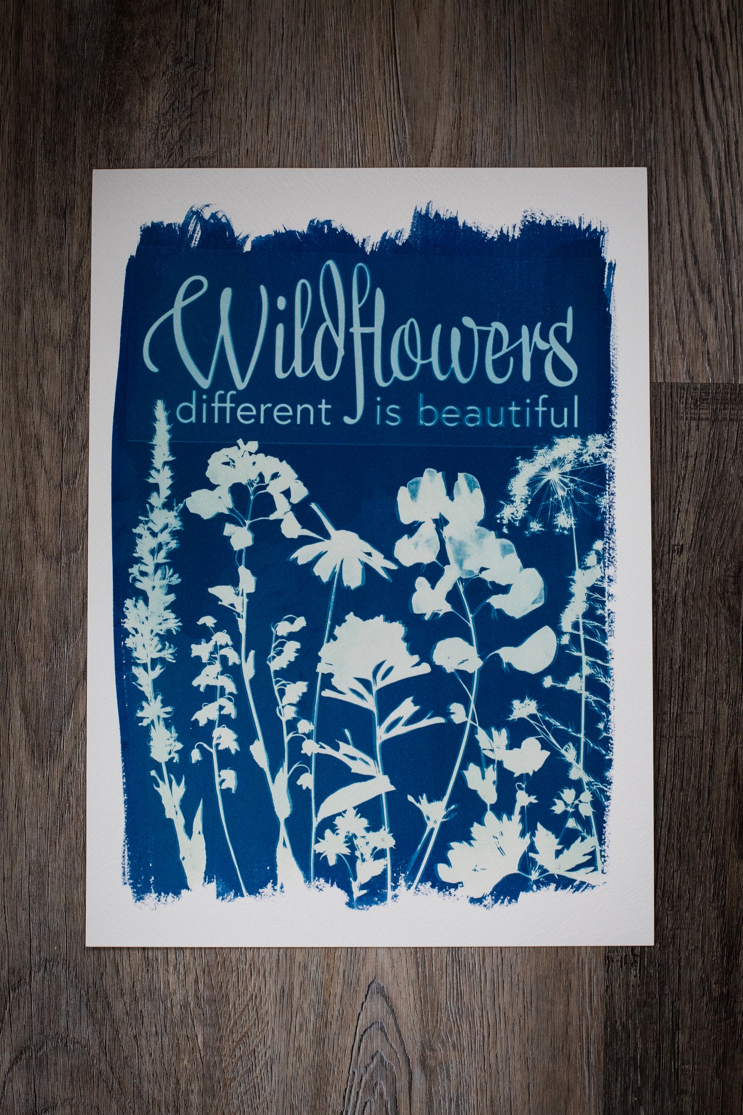 10” x 14” Wildflowers Different is Beautiful Cyanotype Print