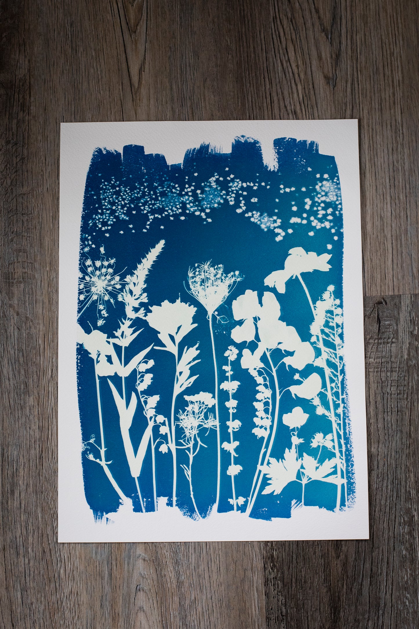 10” x 14” Wildflowers Cyanotype Print