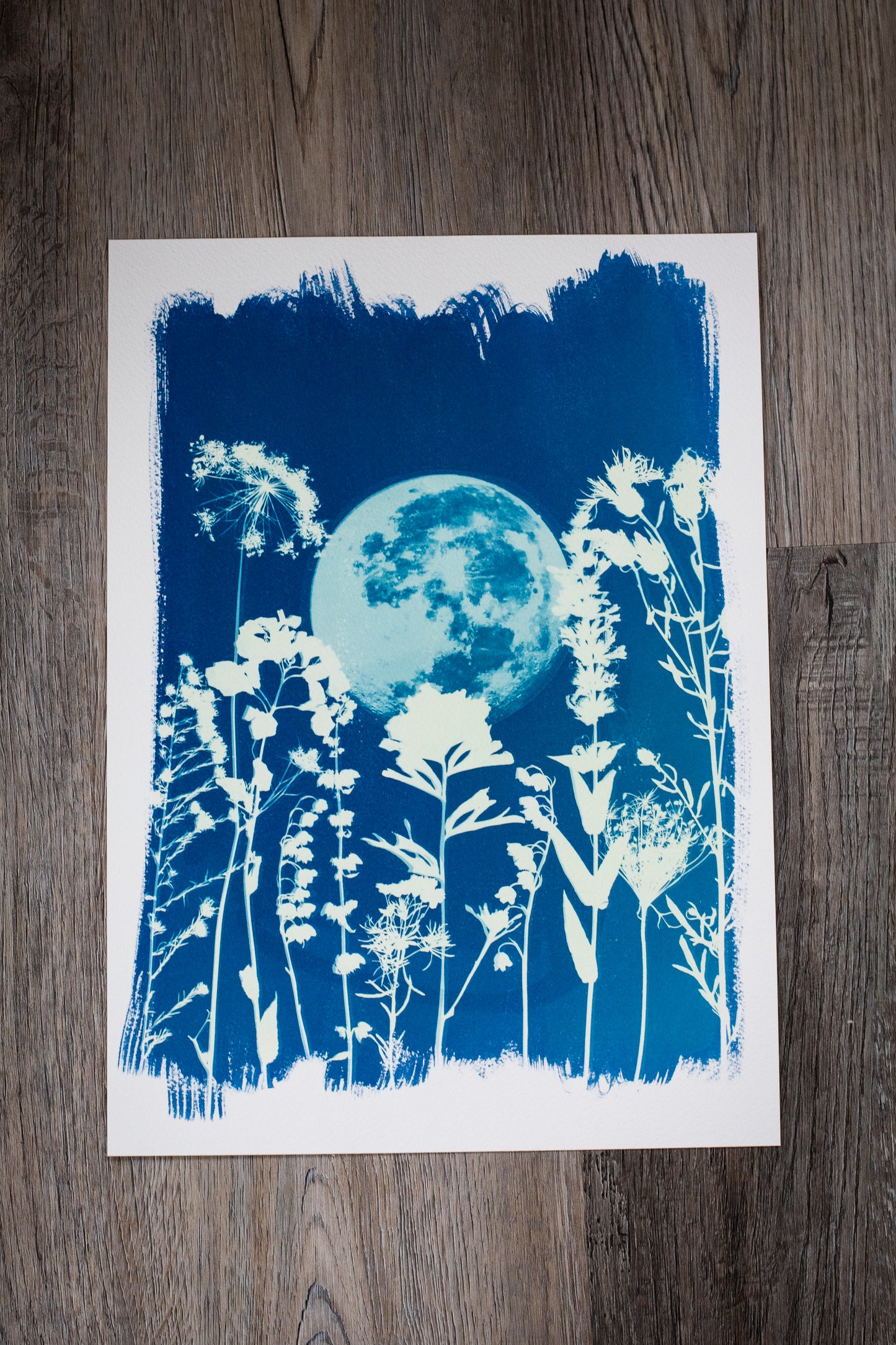 10” x 14” Moon & Wildflowers Cyanotype Print