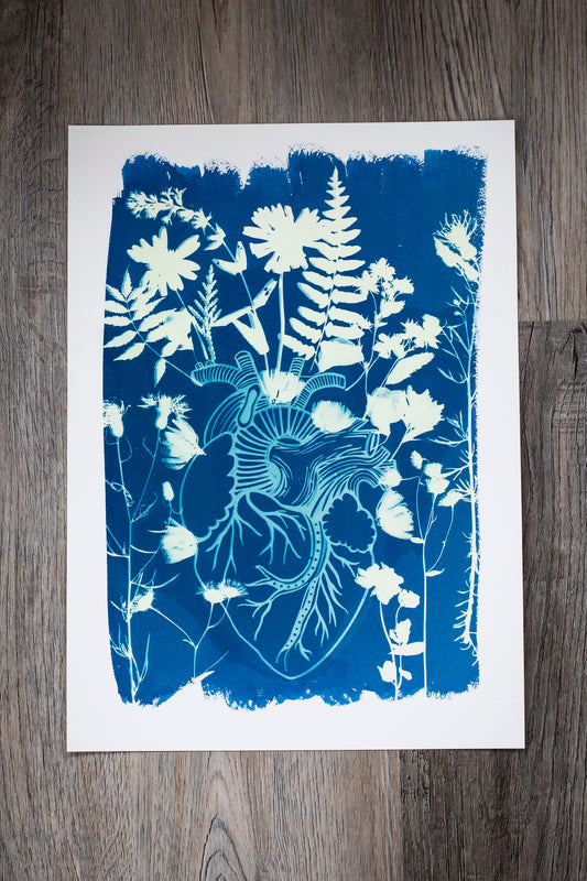 10” x 14” Wildflower Heart Cyanotype Print