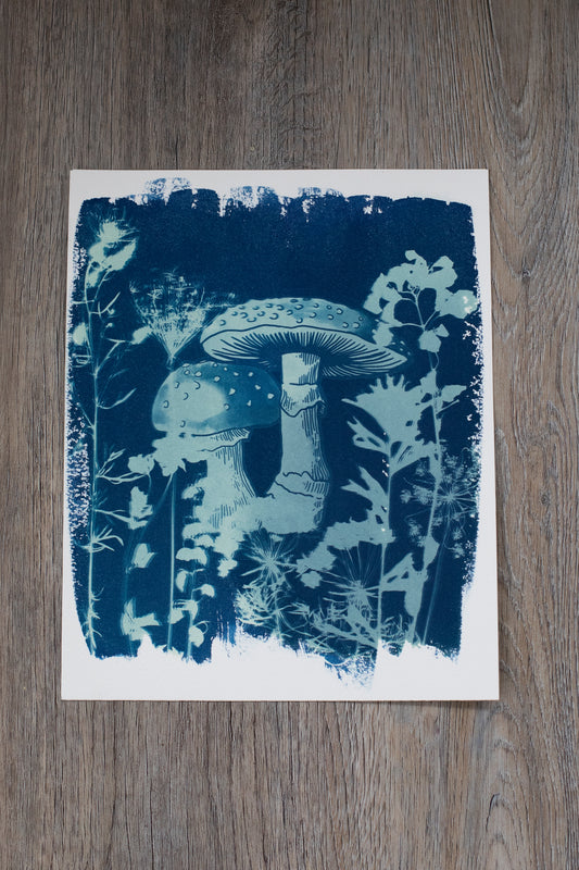 8” x 10” Mushroom & Wildflower Cyanotype Print