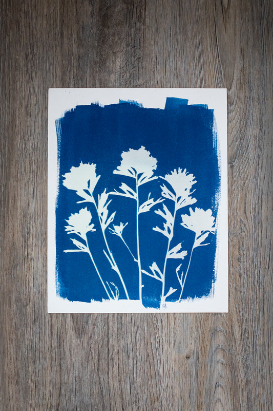 8” x 10” Prairie Fire Cyanotype Print